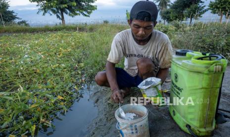 Petani membuat larutan pupuk untuk disemprotkan ke tanaman di Desa Porame, Sigi, Sulawesi Tengah, Selasa (24/10/2023). Kementerian Pertanian memastikan ketersediaan pupuk, khususnya pupuk bersubsidi di setiap kios-kios tani di seluruh Indonesia menjelang musim tanam November-Desember mendatang.  