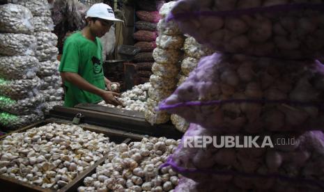 Pedagang menyortir bawang putih di Pasar Induk Kramat Jati, Jakarta, Kamis (1/10). Kementerian Pertanian (Kementan) optimistis volume impor bawang putih sepanjang 2021 akan mengalami penurunan dari tahun-tahun sebelumnya. Penurunan tersebut diklaim karena adanya produksi bawang putih dalam negeri yang terus berkembang dan mulai dapat konsumsi masyarakat.