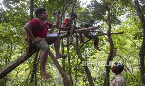 UNICEF Minta Sekolah di Negara Pandemi Dibuka Kembali. Anak-anak Sri Lanka duduk di dahan pohon saat mengakses pelajaran daring dari cagar alam hutan di desa mereka di Bibila, Sri Lanka, 2 Juli 2021. Memanjat batu dan duduk di puncak pohon bukan bagian dari kurikulum mereka tetapi anak-anak di desa sekitar ibu kota melakukan hal itu untuk dapat menangkap sinyal seluler untuk mengakses kelas online mereka. Kesenjangan digital yang dipicu oleh akses internet yang tidak merata dan biaya data yang tinggi telah memaksa banyak siswa keluar dari sistem pendidikan formal di Sri Lanka.