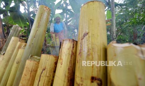 Tradisi malamang digelar ungkapan syukur atas kelahiran Muhammad SAW.