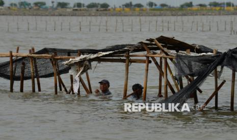 Personil TNI AL bersama warga membongkar pagar laut di Perairan Tanjung Pasir, Kabupaten Tangerang, Banten, Sabtu (18/1/2025). TNI Angkatan Laut bersama dengan nelayan membongkar pagar laut misterius sepanjang 30,16 km di Kabupaten Tangerang, secara manual. Pembongkaran pagar laut dipimpin langsung oleh Komandan Pangkalan Utama AL (Danlantamal) III Jakarta Brigadir Jenderal (Mar) Harry Indarto.