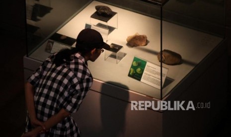 Pengunjung melihat-lihat fosil manusia purba di Museum Nasional, Jakarta, Selasa (26/6).