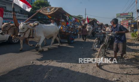 Warga melihat pawai gerobak sapi di Jatinom, Klaten, Jawa Tengah, Rabu (30/8/2023). 