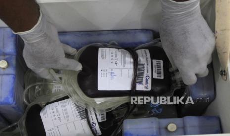 Petugas Palang Merah Indonesia (PMI) menyimpan plasma darah konvalesen di dalam kotak pendingin saat pelaksanaan donor plasma. 