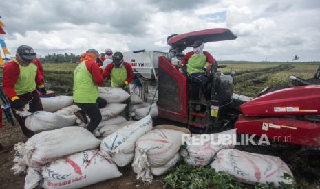 Petani memanen padi menggunakan alat mesin pertanian (alsintan) saat panen raya di areal persawahan lumbung pangan nasional 