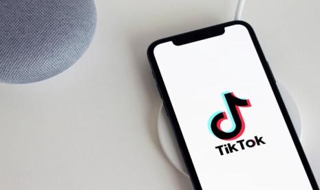 Unduh Video TikTok tanpa Watermark via SSSTiktok dan Snaptik