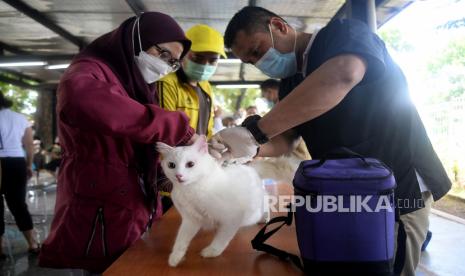 Petugas menyuntikan vaksin rabies ke hewan peliharaan secara gratis di RPTRA Pesona Manggarai, Jakarta, Selasa (23/11). Pemberian Vaksin Rabies gratis tersebut untuk menghindari dan mengantisipasi penyebaran penyakit rabies kepada hewan peliharaan serta menargetkan wilayah Provinsi DKI Jakarta bebas rabies. Prayogi/Republika