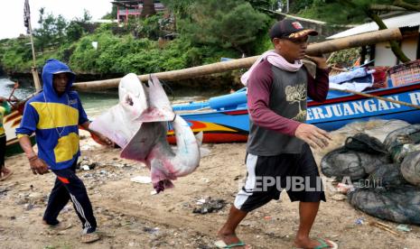 Nelayan membawa ikan hasil tangkapan di Pantai Gesing, Panggang, Gunungkidul, Yogyakarta, Kamis (11/2). Pantai Gesing menjadi idola baru tujuan wisata di Yogyakarta. Lokasi pantai ini sekitar 50 kilometer dari pusat kota Jogja. Di sini pengunjung bisa membeli ikan segar dari nelayan, atau kemping.