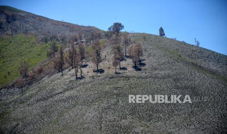 Sisa-sisa bukit yang terbakar di Bukit Teletubbies, Taman Nasional Bromo Tengger Semeru (TNBTS), Jawa Timur, Sabtu (30/9/2023). 