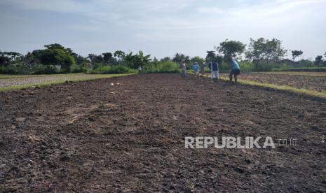 Badan Meteorologi Klimatologi dan Geofisika (BMKG) mengingatkan potensi hujan tinggi di sejumlah wilayah meski di daerah lainnya menunjukkan fenomena kontras telah mengalami kemarau.