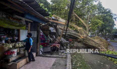 Seorang pedagang menata bunga dagangannya di dekat pohon yang tumbang di Jalan Abdullah Bin Nuh, Kota Bogor, Jawa Barat, Selasa (25/1/2022). Hujan deras disertai angin kencang pada Senin (24/1/2022), membuat pohon tersebut tumbang hingga menimpa dua kios dan tidak ada korban jiwa pada peristiwa tersebut. Republika/Putra M. Akbar