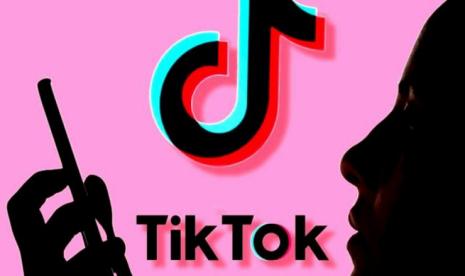 Tiktok: Download Video Tiktok tanpa Watermax di SaveFrom TikTok