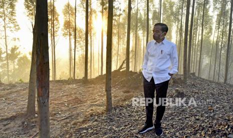  Foto selebaran yang disediakan oleh Istana Kepresidenan menunjukkan Presiden Joko Widodo memeriksa lokasi ibu kota baru saat matahari terbit di Penajam Paser Utara, Kalimantan Timur, 15 Maret 2022. Belakangan muncul polemik seusai dukungan Apdesi untuk Jokowi menjadi presiden tiga periode. 