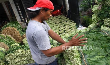 Pekerja menata sayuran sawi hasil panen yang melimpah di Tumpang, Malang, Jawa Timur, Senin (1/6/2020). Kementerian Pertanian mencatat melimpahnya produksi sayuran yang terjadi di saat pandemi COVID-19 justru membuka peluang untuk ekspor sehingga bisa meningkatkan neraca perdagangan komoditas pertanian yang pada periode Januari-Maret 2020 sudah mengalami surplus 164 juta dollar AS terhadap China