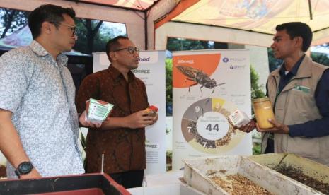 Biokonversi Maggot Mampu Mengurai Sampah Organik dengan Cepat