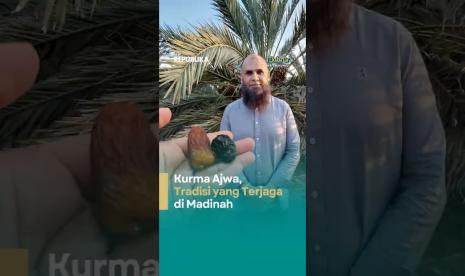 Kurma Ajwa: Warisan Rasulullah yang Tetap Hidup di Madinah Hingga Kini