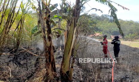 Petugas pemadam kebakaran menangani kebakaran di lahan kebun tebu wilayah Dusun Pahing, Desa Cikeleng, Kecamatan Japara, Kabupaten Kuningan, Jawa Barat, Rabu (16/8/2023).