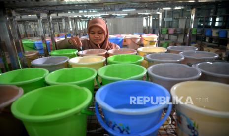 Petugas memeriksa proses penetasan larva nyamuk Aedes aegypti ber-wolbachia di Insektarium Universitas Gajah Mada (UGM), Yogyakarta, Sabtu (2/12/2023).