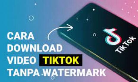 SaveFrom Tiktok: Aman Digunakan?