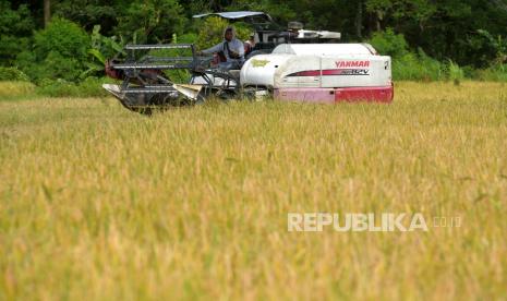 Pekerja memanen padi menggunakan mesin di Bantul, Yogyakarta, Senin (16/1/2023). Wakil Presiden KH Ma'ruf Amin berharap peran pemerintah daerah untuk mempertahankan jumlah lahan pertanian di wilayahnya. 