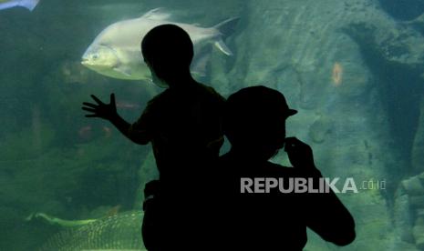 Orang tua mendampingi anaknya saat berkunjung ke SeaWorld Ancol, Jakarta, Jumat (22/10). Unit rekreasi di Kawasan Taman Impian Jaya Ancol salah satunya yaitu SeaWorld kini mengizinkan anak-anak usia di bawah 12 tahun untuk dapat berkunjung dan rekreasi, Hal ini seiring dengan penurunan level PPKM Provinsi DKI Jakarta menjadi level 2.Prayogi/Republika