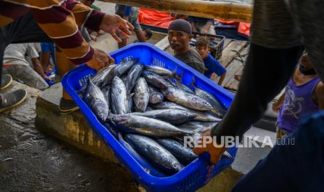 Sejumlah nelayan memindahkan ikan hasil tangkapannya dari kapal. Sejak terjadi pandemi Covid-19 harga jual ikan laut menurun drastis. Ilustrasi.