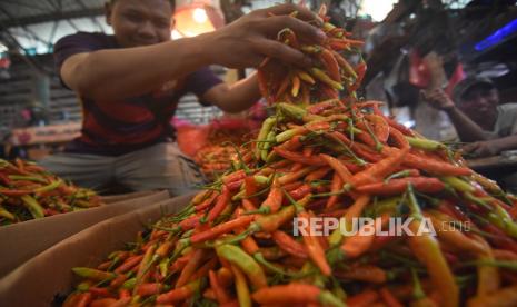 Pedagang menata cabai di Pasar Induk Kramat Jati, Jakarta Timur, Rabu (25/3/2020). Head Center of Food, Energy, and Sustainable Development Institute for Development of Economics and Finance (INDEF) Abra Tallattov menilai dampak dari melemahnya rupiah terhadap dolar AS akibat mewabahnya COVID-19 berimbas pada melonjaknya harga pangan seperti bawang merah dan putih, gula pasir, serta cabai rawit merah