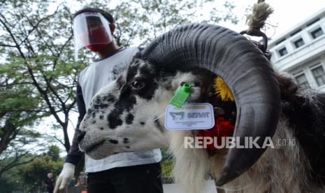 Dua Hal yang tak Boleh Dilakukan Pequrban