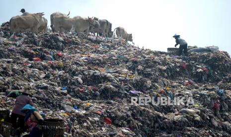 Pemulung mencari sampah daur ulang pada tumpukan sampah pembuangan terakhir di Tempat Pembuangan Akhir (TPA) Piyungan, Bantul, Yogyakarta, Senin (24/7/2023). Pemerintah Daerah (Pemda) Yogyakarta dan Pemkot Yogyakarta menutup operasional TPA Piyungan mulai 23 Juli hingga 5 September karena zona pembuangan sampah penuh dan melebihi kapasitas. Sedangkan tampungan sampah yang baru masih dikerjakan hingga awal Oktober mendatang. Sehingga untuk pengelolaan sampah untuk sementara akan dikembalikan kepada kabupaten/ kota masing-masing.