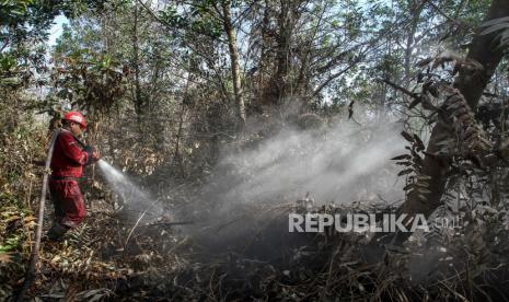 Petugas Manggala Agni Daops Pekanbaru menyemprotkan air ke arah lahan gambut yang terbakar ketika melakukan pemadaman,  di Pekanbaru, Riau, Senin (17/8/2020). Kebakaran  semak belukar di atas lahan gambut seluas 1,5 hektar yang terjadi dari Minggu (16/7/2020) ini berhasil dipadamkan petugas gabungan yang terdiri dari Manggala Agni, MPA, TNI,  dan Polri. ANTARA FOTO/Rony Muharrman /hp.