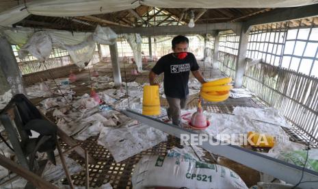 Peternak berada di kandang ayam yang sengaja dikosongkan karena merugi di Desa Badal, Kediri, Jawa Timur, Kamis (16/4/2020). Peternak mengaku tidak berani membeli anakan ayam untuk dibesarkan karena harga jual ayam merosot dari normalnya Rp19 ribu menjadi hanya Rp8 ribu per kilogram akibat pandemi COVID-19 dan diperparah dengan naiknya harga pakan dari sebelumnya Rp6