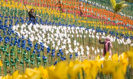 Taman Kincir Angin Marigold Garden, Purwasari, Karawang (Ilustrasi)