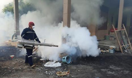 Waspada! Kasus Demam Berdarah di Probolinggo Naik, 3 Pasien Meninggal