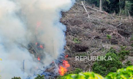 Asap membubung ke udara dari lokasi pembakaran lahan (ilustrasi). Dinas Perkebunan Provinsi Kalimantan Timur (Disbun Kaltim) mengajak pekebun menjalankan prinsip perkebunan berkelanjutan. 