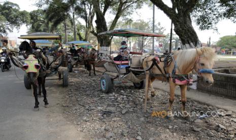 Diduga Korban Pembunuhan, Seorang Pria Tewas di Atas Delman