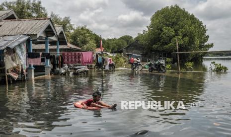 Seorang anak berenang menggunakan pelampung saat banjir rob di Kampung Sembilangan, Tarumajaya, Kabupaten Bekasi, Jawa Barat, Senin (18/11/2024). Banjir rob akibat pasang air laut telah menggenangi wilayah tersebut selama empat hari dengan ketinggian 30-50 cm. 