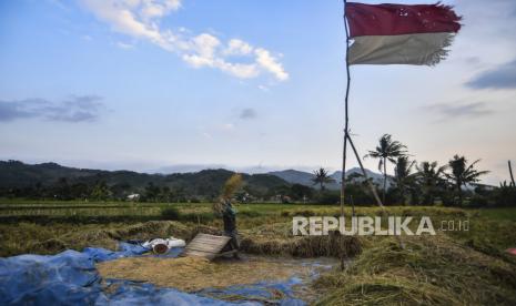 Petani memanen padi miliknya di Ciletuh, Pelabuhan Ratu, Sukabumi, Jawa Barat, Rabu (30/9/2020). Pemerintah menyatakan bahwa stok pangan Indonesia dinilai aman hingga akhir tahun 2020 . 