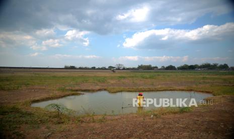 Badan Meteorologi, Klimatologi, dan Geofisika (BMKG) Bandung mengungkapkan musim kemarau yang terjadi di Bandung Raya diperkirakan berlangsung lebih lama. 