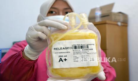 Perawat menunjukan plasma konvalesen milik pendoror yang merupakan penyintas Covid-19 yang selanjutnya diproses menjadi plasma konvalesen di Unit Donor Darah (UDD) PMI Provinsi Lampung, Lampung, beberapa waktu lalu.