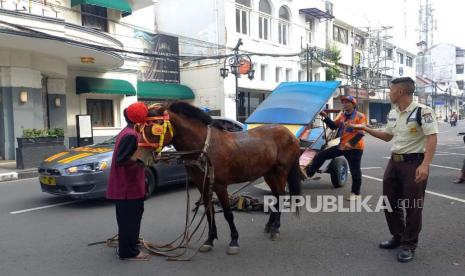 Seekor kuda delman tanpa kusir lepas di sepanjang Jalan Braga- Jalan Asia Afrika- Jalan Cikapundung Barat, Jalan Naripan dan kembali ke Jalan Braga, Kota Bandung sekitar pukul 08.30 WIB, Rabu (10/4/2024). Delman sempat menabrak bemper mobil yang melintas di Jalan Asia Afrika hingga ringsek. 