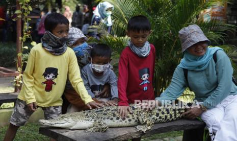 Pengunjung memegang buaya di salah satu wahana Solo Zoo atau Taman Satwa Taru Jurug (TSTJ) Solo, Jawa Tengah, Ahad (16/5/2021). Pemerintah Kota Solo membuka sejumlah tempat wisata saat libur Lebaran 2021 dengan menerapkan protokol kesehatan dan membatasi jumlah pengunjung serta durasi kunjungan guna memutus mata rantai penyebaran COVID-19.