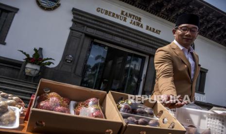 Gubernur Jawa Barat Ridwan Kamil menunjukkan komoditas hortikultura jengkol saat acara pelepasan ekspor perdana produk pesantren One Pesantren One Product (OPOP) ke Dubai di Gedung Sate, Jalan Diponegoro, Kota Bandung, Provinsi Jabar, Senin (13/12).