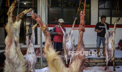 Panitia memotong daging sapi kurban di Sekretariat Pimpinan Cabang Muhammadiyah (PCM) Tebet Barat, Jakarta, Sabtu (9/7/2022). Warga Muhammadiyah menyembelih hewan kurban usai melaksanakan Shalat Idul Adha 1443 Hijriah yaitu sehari lebih awal dari yang ditetapkan pemerintah. Sebanyak enam sapi dan sepuluh kambing disembelih di tempat tersebut. Hewan Qurban Masjid At-Taqwa Jagakarsa Sudah Dikarantina Empat Hari