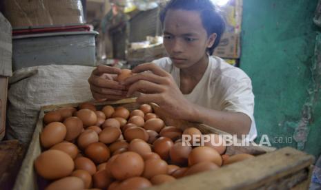 Harga telur naik (Ilustrasi)