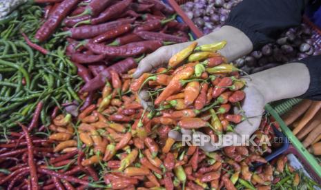 Pedagang menunjukkan cabai rawit di lapaknya di Pasar Kosambi, Kota Bandung, Jawa Barat, Selasa (7/11/2023). 