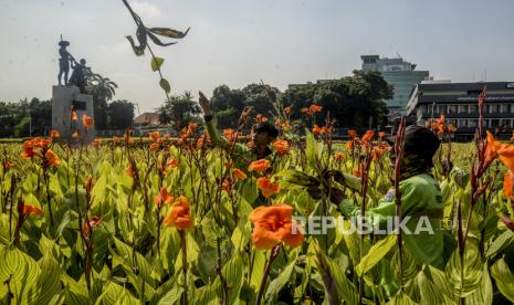 Petugas saat melakukan perawatan tanaman di kawasan Tugu Tani, Jakarta, Kamis (24/9). Pemerintah Provinsi DKI Jakarta melalui Dinas Pertamanan dan Hutan Kota mengajukan dana sebesar Rp 115.4 miliar pada tahun anggaran 2020 untuk pengadaan tanaman di Ibu Kota. Republika/Putra M. Akbar