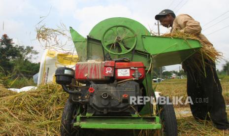 Petani memanen padi di sebuah area persawahan di Blimbing, Malang, Jawa Timur