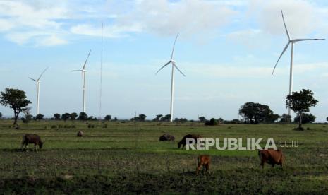 Hewan ternak milik warga mencari makan di area Pembangkit Listrik Tenaga Bayu (PLTB) Tolo di Kabupaten Jeneponto, Sulawesi Selatan, Kamis (9/7/2020). Kementerian ESDM mencatat bauran energi baru dan terbarukan (EBT) telah mencapai 15 persen dari target sebesar 23 persen pada 2025. ANTARA FOTO/Arnas Padda/yu/aww.