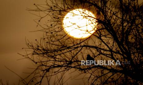  Matahari terbit di Koege, Denmark, Denmark, Selasa dini hari, 23 Februari 2021. Awan dengan debu dari gurun Sahara diperkirakan akan melewati Denmark hari ini.