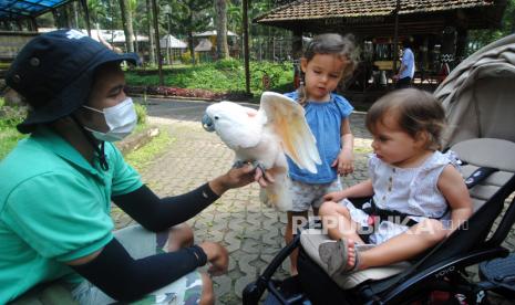 Seorang petugas mengenalkan seekor burung kakatua putih (Cacatua alba) kepada anak-anak saat berwisata di Royal Safari Garden Hotel, Cisarua, Kabupaten Bogor.  Tingkat hunian atau okupansi hotel di Kabupaten Bogor meningkat pada libur Idul Fitri 1443 Hijriah. Perhimpunan Hotel dan Restoran Indonesia (PHRI) Kabupaten Bogor, mencatat ada kenaikan okupansi hotel sebesar 50 hingga 75 persen.